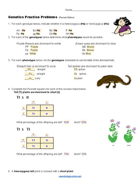 Genetics practice problems worksheet.  You may This allows students to pr...