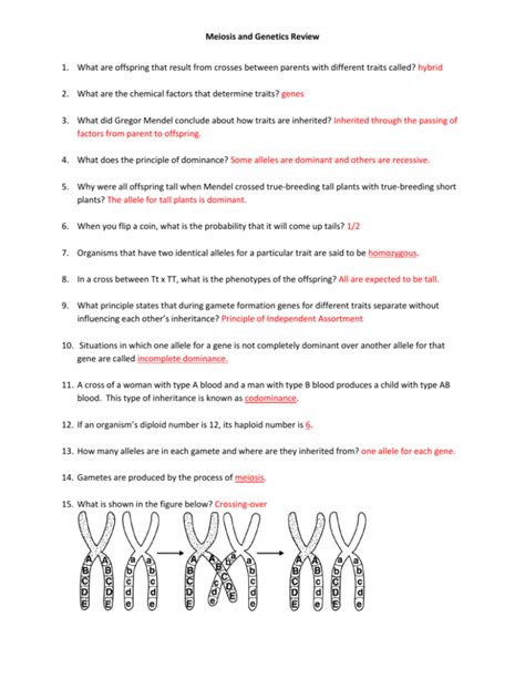 Genetics unit study guide teacher version answers. - The essential family guide to borderline personality disorder new tools and techniques stop walking on eggshells randi kreger.