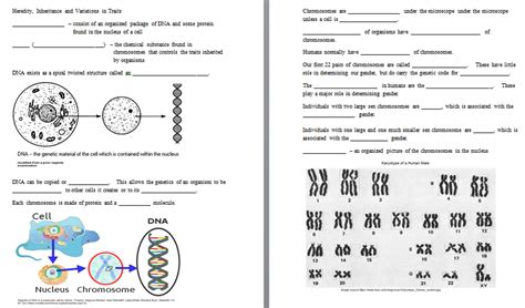 Genetics worksheets for middle school.  Heredity, Variations, Mendelia...