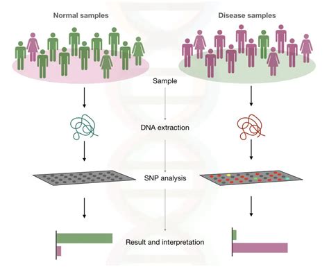 Genome-Wide Association Study Identifies Eight Novel Loci for ... - PubMed