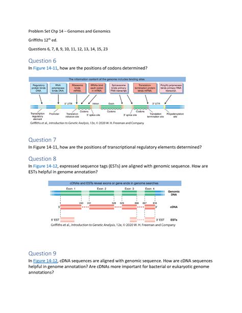Genomics Problem Set