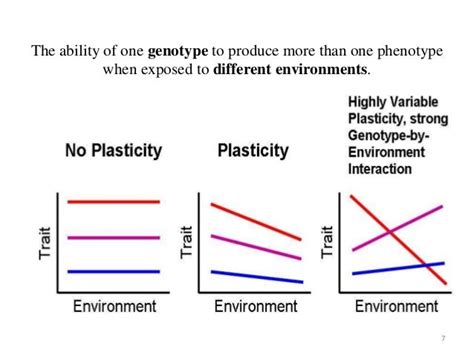 Genotype x environment interaction and stability ... - ScienceDirect