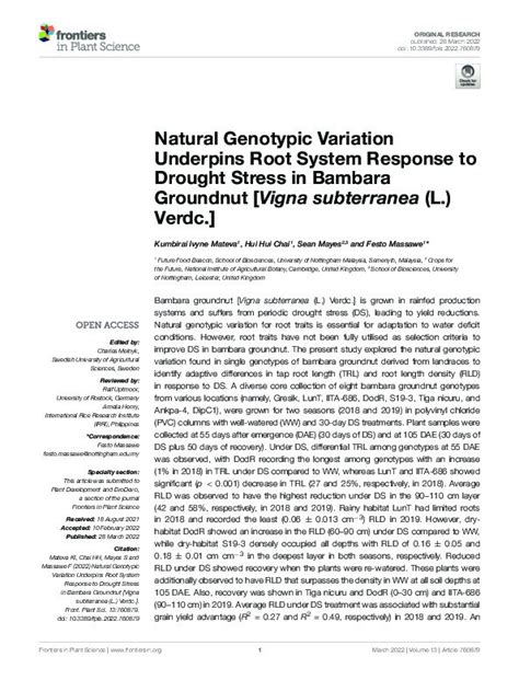 Genotypic variation of bambara groundnut (Vigna subterranea L…