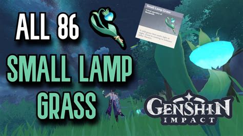 Genshin Impact Small Lamp Grass Guide – Lamp Grass Location …