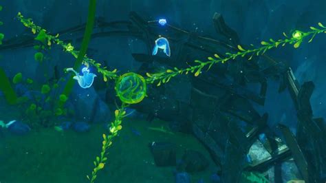 Genshin cut the seagrass. How to cut Seagrass in Genshin Impact It's a little tricky. Screenshot by Pro Game Guides Fontemer Seagrass is an underwater obstacle you'll often find under Fontaine's sea. 