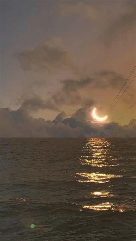 Gentle_Moon Onlyfans Leaked +18 🍑 91 Vids