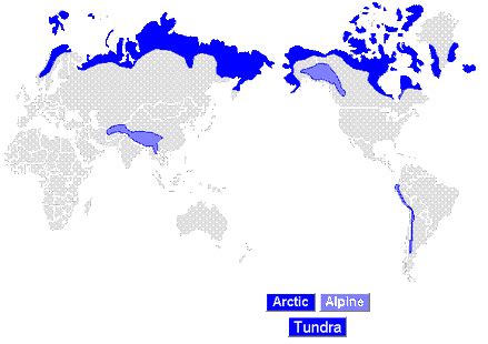 Geographic Distribution - The Tundra