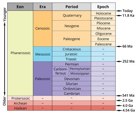 The four main ERAS are, from oldest to youngest: PreCambrian, Palaeozoic, Mesozoic and Cenozoic. Periods are a finer subdivision in the geological time scale.. 