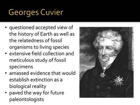 Georges cuvier theory of evolution