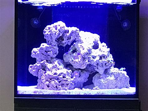 Georgia - 140 gallon cube for fs or trade. REEF2REEF Saltwater …