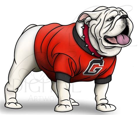 Georgia Bulldogs Drawings