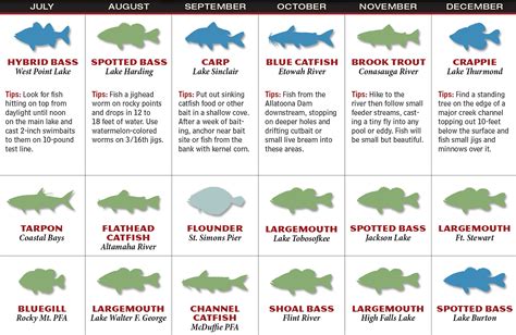 Today's Best Fishing & Hunting Times for 5/19/2024
