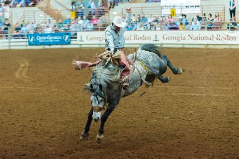 Georgia rodeo. Performing at the Georgia International Horse Park, gather your family, co-workers, scout troops, church groups, and rodeo lovers to see the dazzling Bill Pickett Invitational Rodeo. Shows are Saturday at 7:30 pm and … 