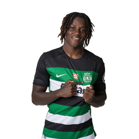 Profile picture of Geovany Stehr