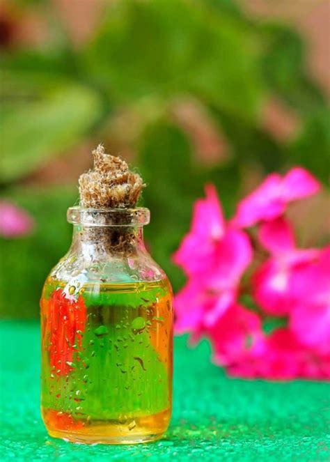 Geraniol wasps.  Essential oils containing geranium extract have demon...