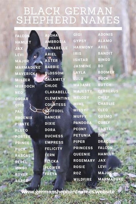 German Shepherd Puppy Names Boy