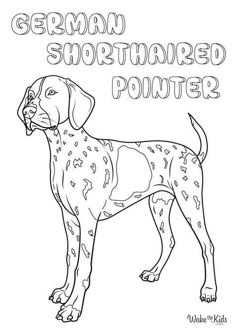 Images For Coloring