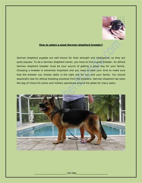 German shepherd breeder nj.  Learn German with bite-size lessons based on science. ...