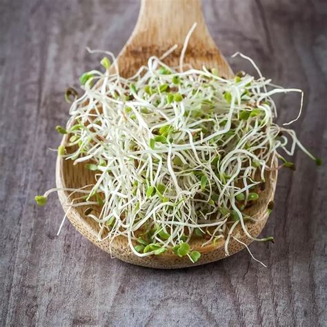 Germen Halı ve Koltuk Yıkama