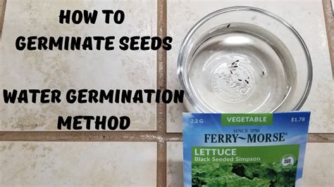 Germinating seeds, how warm water to use and do you keep