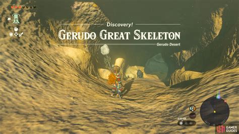 Gerudo skeleton totk. Gerudo's Colossal Fossil. You went to the Gerudo Great Skeleton and discovered the skull of a baby leviathan next to its parent leviathan's fossil. Loone laments that it's incomplete and wants to see the parent and child leviathans side by side. She thinks that the child's tail and torso must be nearby... You met Loone near East Akkala Stable. 