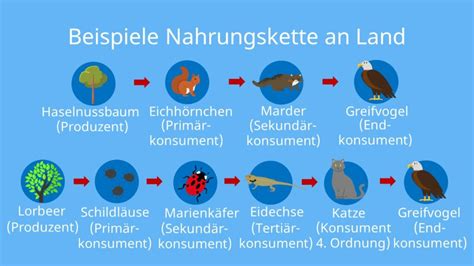Gesetz der überwindbarkeit der [sic] todes in der biologie. - Mensajes para la era de acuario/messages for the age of aquarius.