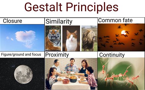Gestalt principles examples in real life.  By applying these principles thoughtfully, designe...