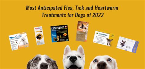 Get Cheapest Flea Tick and Heartworm Prevention for Dogs