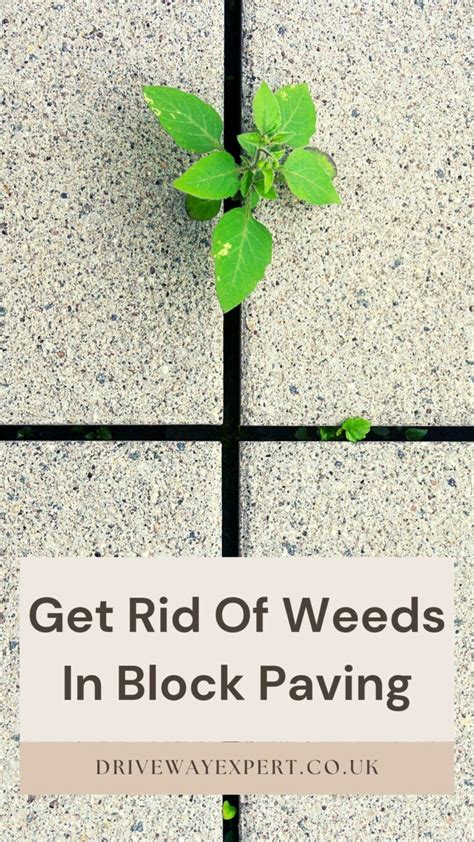 Get Rid Of Weeds In Block Paving - Driveway Expert