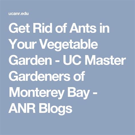 Get Rid of Ants in Your Vegetable Garden - ANR Blogs