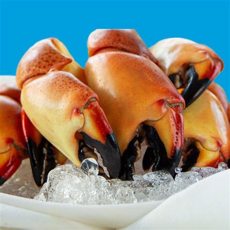 Get fresh stone crab at your doorstep from Miami-based service Holy Crab Delivery