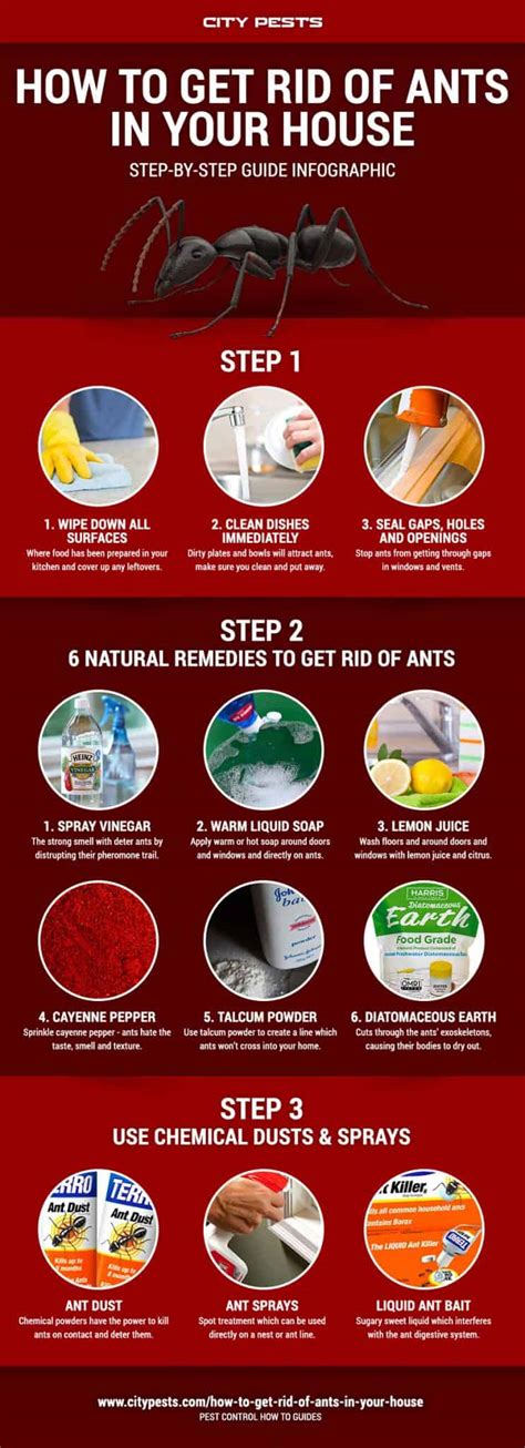 Get rid of ants in house. White vinegar is a great way of getting rid of ants naturally. Simply combine 1 part white vinegar with 1 part water and pour over any areas where you have ... 