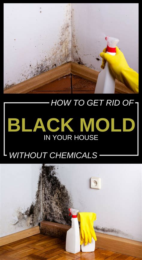 Get rid of mold. Using a 3% hydrogen peroxide solution, transfer it to a spray bottle and apply it to the moldy surfaces. Leave the hydrogen peroxide solution undisturbed for 10 to15 minutes, letting it work its magic to eliminate the mold. Once it has effectively neutralized the mold, use a brush or cloth to scrub away the remnants. 