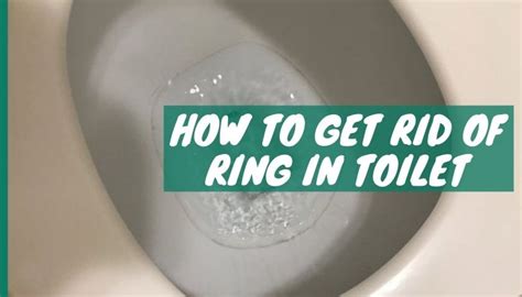 Get rid of rings in the toilet bowl. Step 1 – Turn off the water shut-off valve and flush the toilet until no water remains in the bowl. Step 2 – Fill the bowl with white vinegar until it reaches just below the overflow tank. Leave it overnight. Step 3 – Flush the vinegar, spray the bowl with disinfectant and leave for 15 minutes. Step 4 – Don a pair of gloves … 