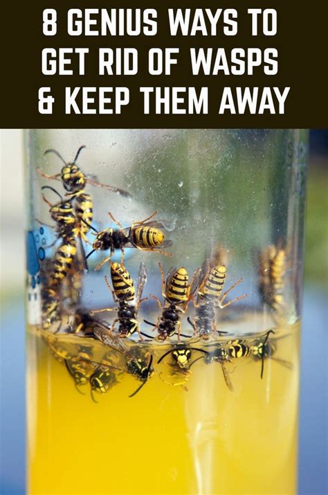 Get rid of wasps. Eartheasy.com gives the following instructions for drowning wasps in aerial nests: “Aerial nests: Place a cloth bag over the entire nest and quickly tie it off at the top; as you draw in the tie ... 