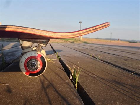 Get the Best Longboard Bearings to Roll Smoothly