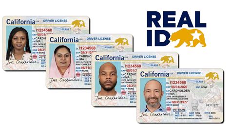 Get to know California&rsquo;s other candidates for governor