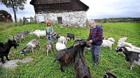 Getter till salu blocket