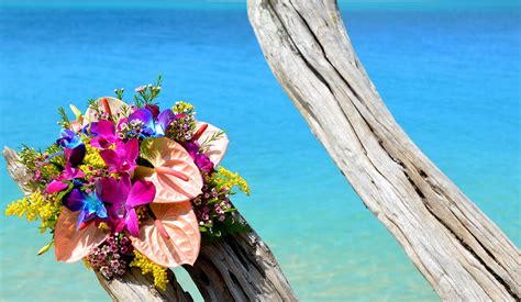 Getting Married in Tobago Daisy