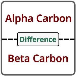 Getting Started with BetaCarbon