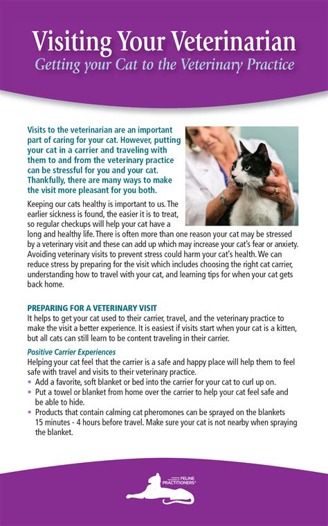 Getting Your Cat to the Veterinarian - Cat Friendly Homes