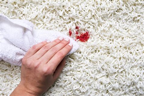 Getting blood out of carpet. If the blood does dry before you have time to act, use a steel brush on the carpet to loosen the surface deposit. Then, vacuum up the loosened residue. From ... 