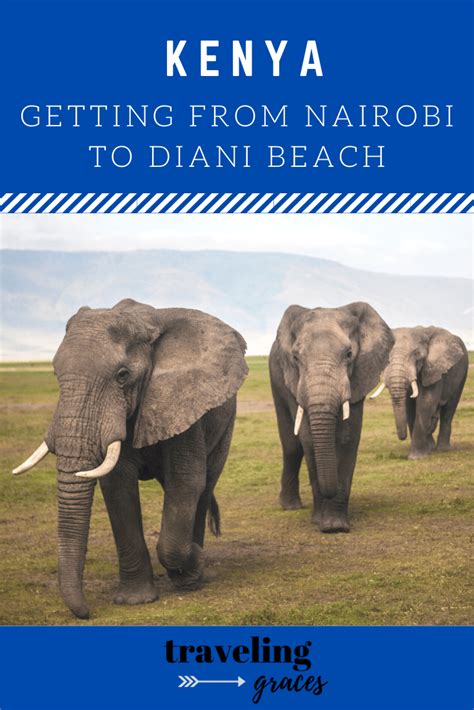 Getting from Nairobi to Diani Beach: 4 Options - Traveling Graces