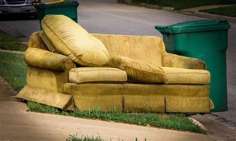 Getting rid of furniture. Trapping is one of the most effective ways to get rid of pack rats. However, poisoning them can also be effective when done properly. Pack rats are usually easy to trap, as they ar... 