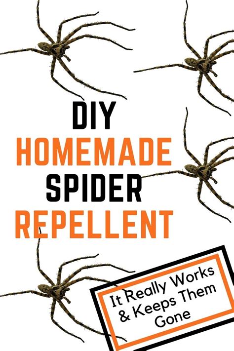 Getting rid of spiders. 2 cups white vinegar. Spray bottle. tb1234. Fill a bottle with the ingredients. Spray all areas where spiders might live or travel inside your home, and spray down all potential entry points on your home’s exterior. Look for cobwebs and other signs of spiders as clues as to where you should spray. 