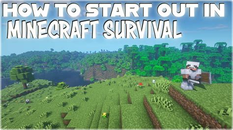 Getting started in minecraft survival