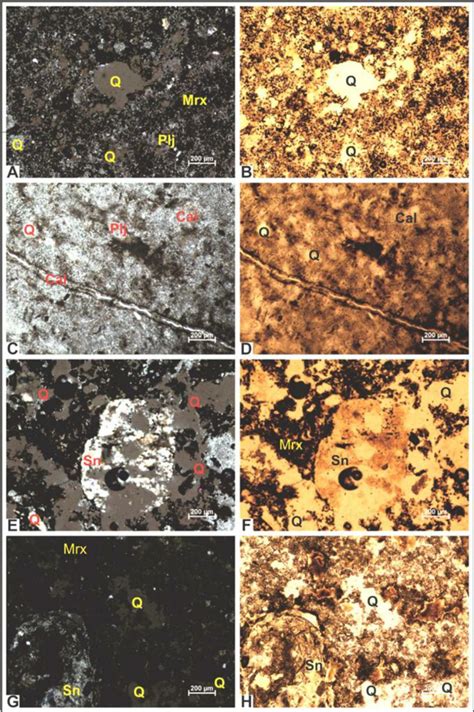 Gevrekseydi Halı ve Koltuk Yıkama