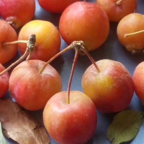 Geycek Halı ve Koltuk Yıkama