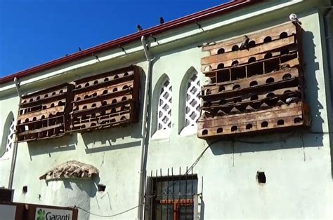 codini.rgarabwor.edu.pl. 