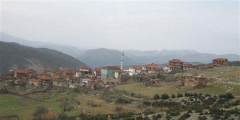 Geynik Halı ve Koltuk Yıkama